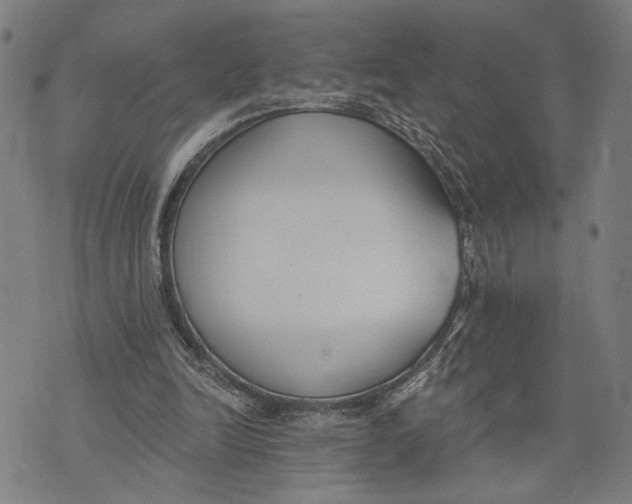 X0000071770246200607211539