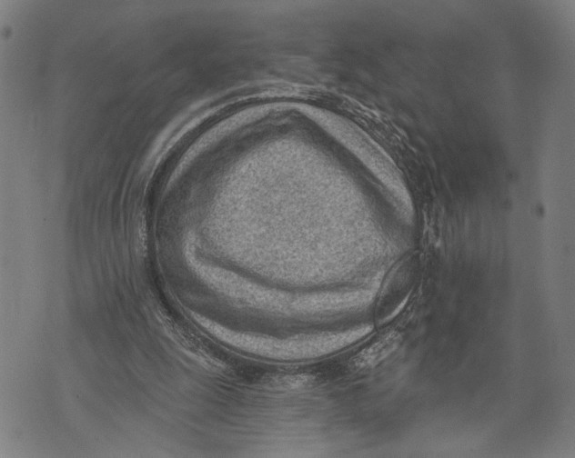 X0000071770247200607211539