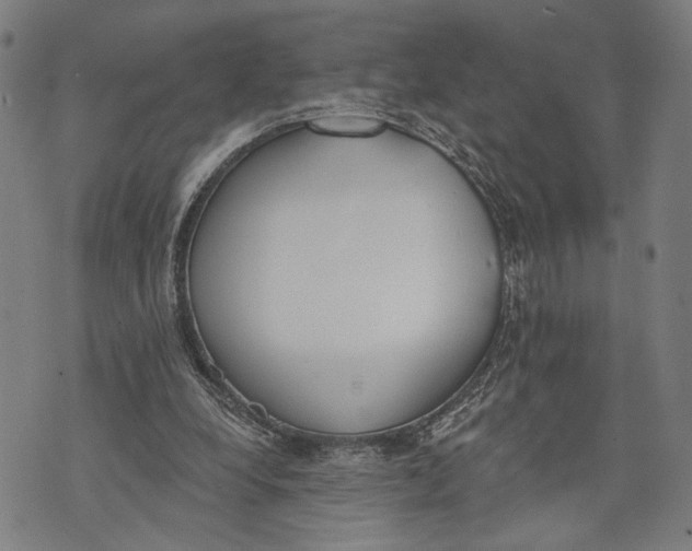 X0000071770248200607211539