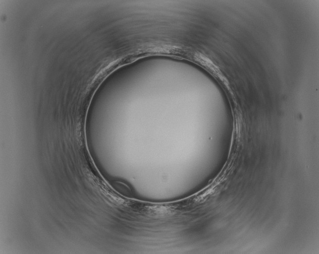 X0000071770249200607211539