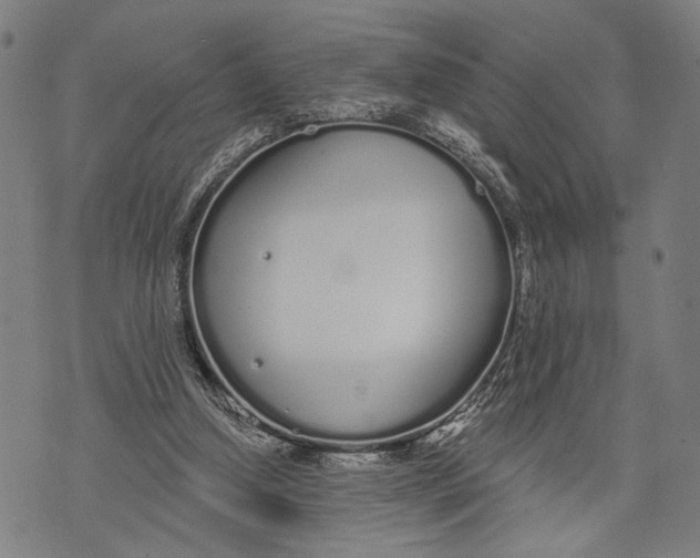 X0000071770250200607211539