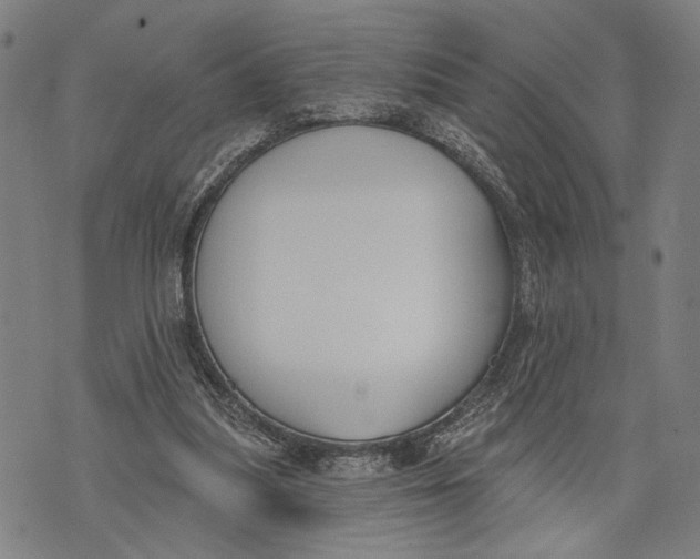 X0000071770251200607211539