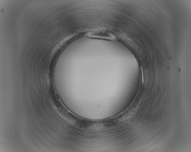 X0000071770252200607211539