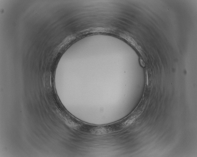 X0000071770253200607211539