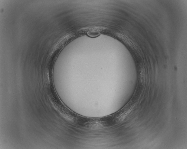 X0000071770254200607211539