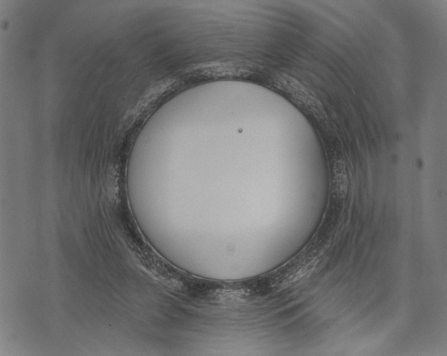 X0000071770255200607211539