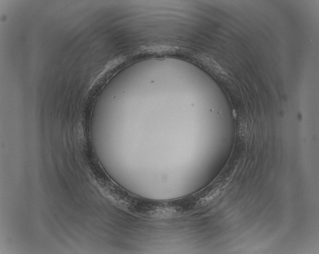 X0000071770256200607211539