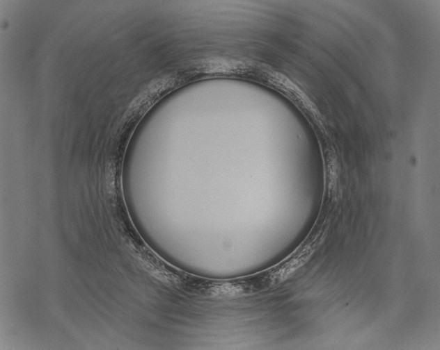 X0000071770257200607211539