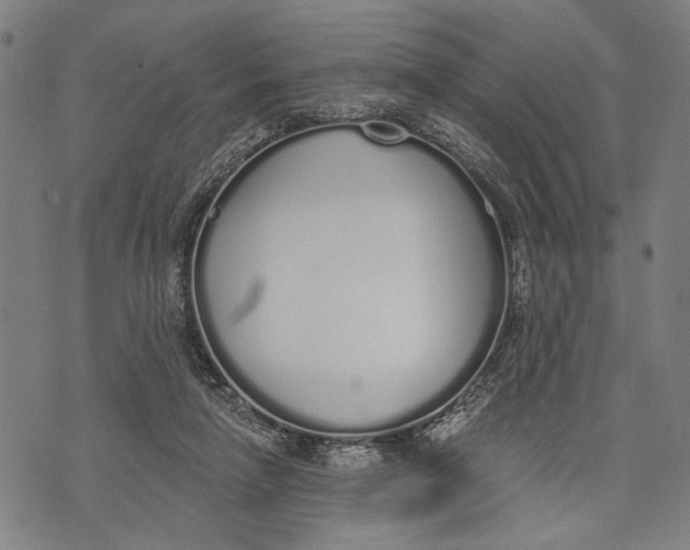 X0000071770258200607211539