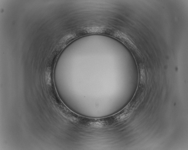 X0000071770259200607211539