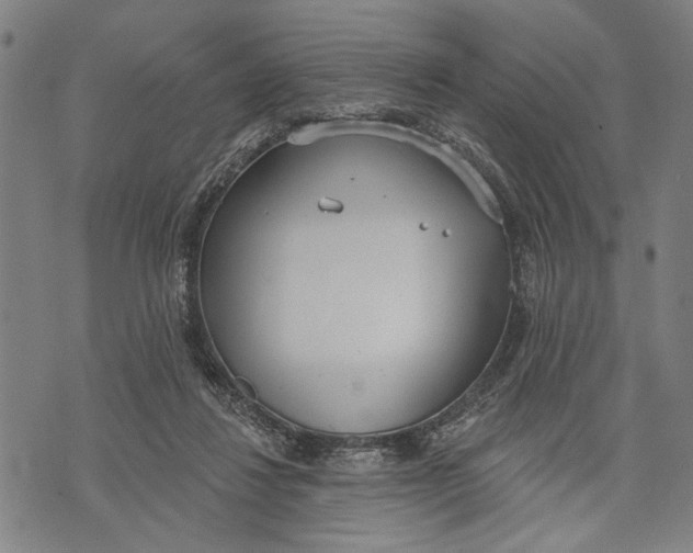 X0000071770260200607211539