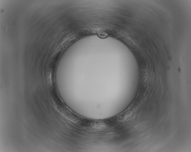 X0000071770262200607211539