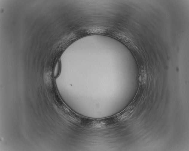 X0000071770263200607211539