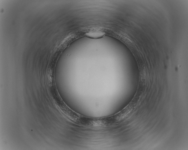 X0000071770264200607211539