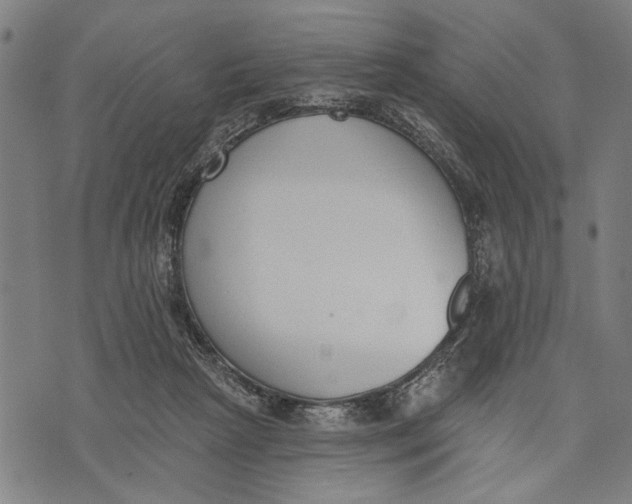 X0000071770265200607211539