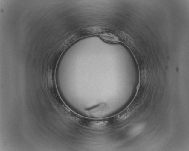 X0000071770267200607211539