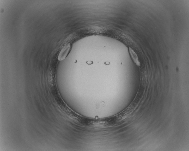 X0000071770268200607211539