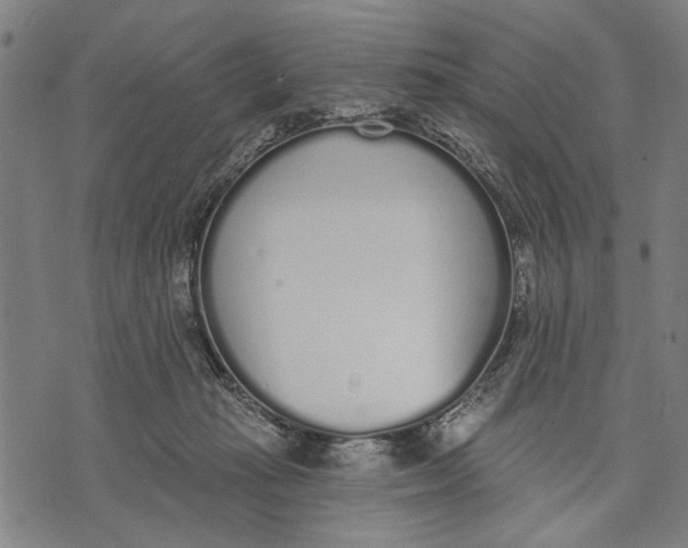 X0000071770269200607211539