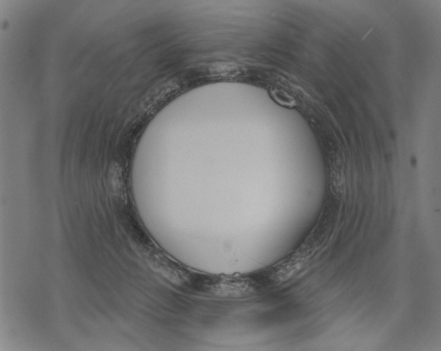 X0000071770270200607211539