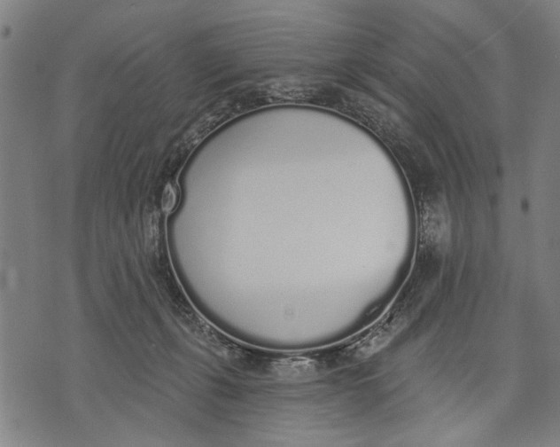 X0000071770271200607211539