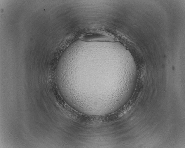 X0000071770272200607211539