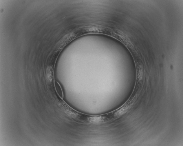 X0000071770273200607211539