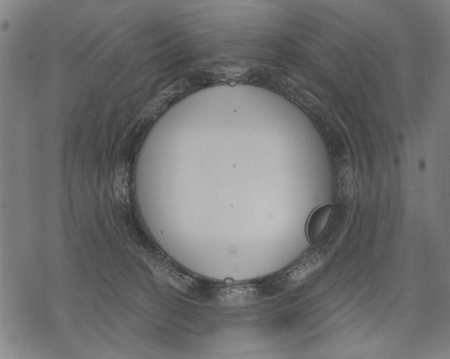 X0000071770274200607211539