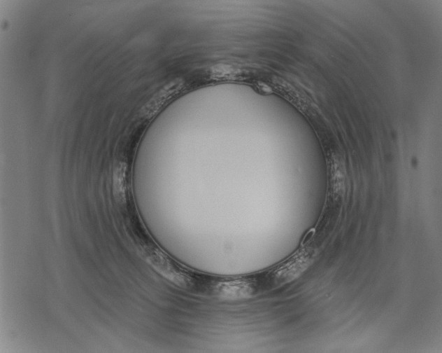 X0000071770275200607211539