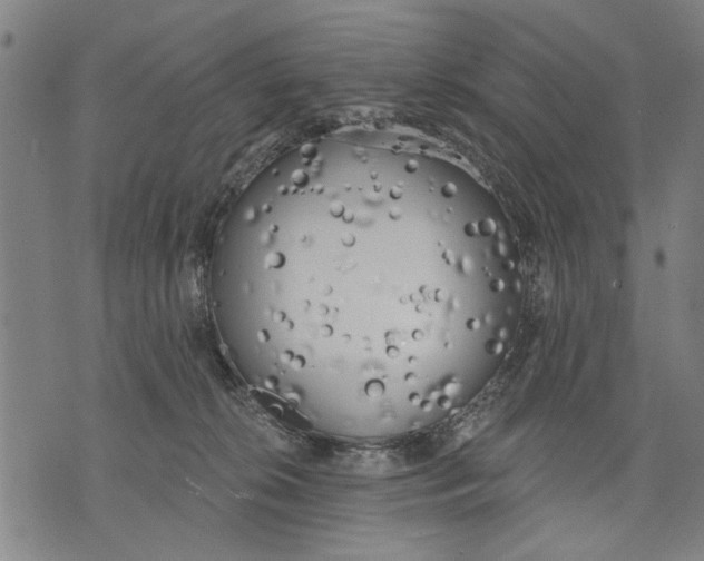 X0000071770276200607211539