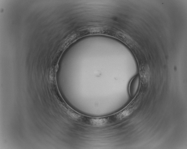 X0000071770277200607211539