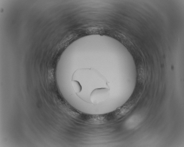 X0000071770278200607211539