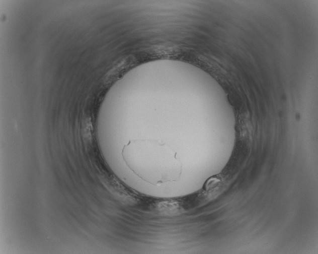 X0000071770279200607211539