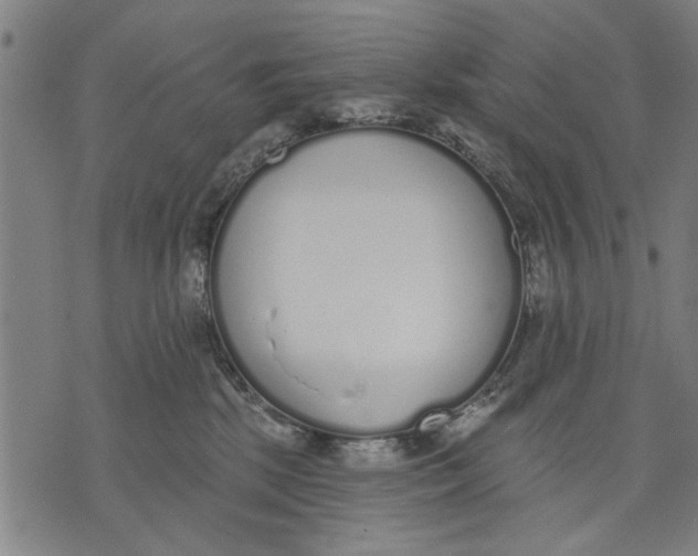 X0000071770281200607211539