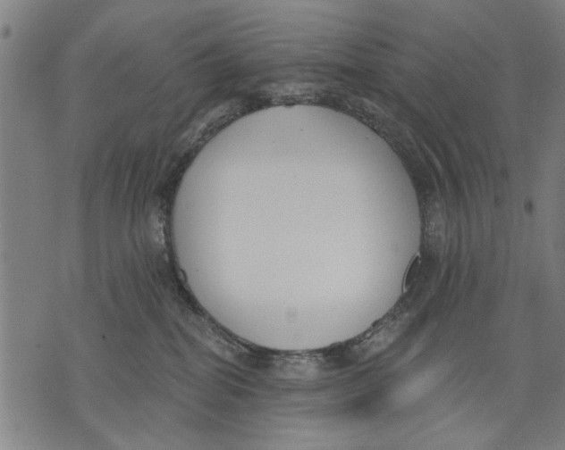 X0000071770282200607211539