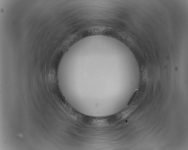 X0000071770283200607211539