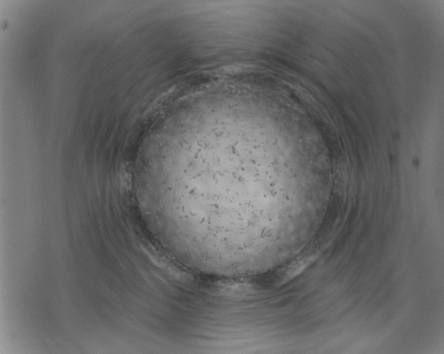 X0000071770284200607211539