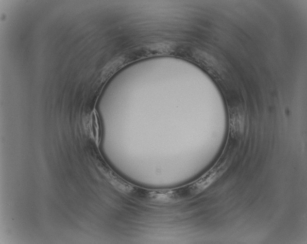 X0000071770285200607211539