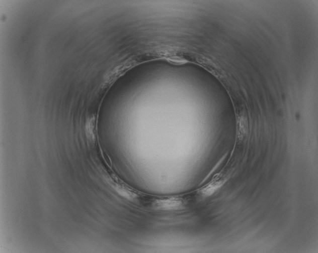 X0000071770286200607211539