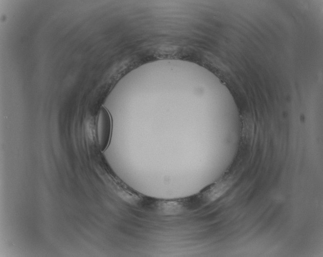 X0000071770287200607211539