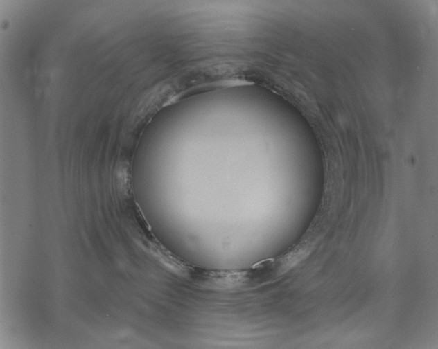 X0000071770288200607211539