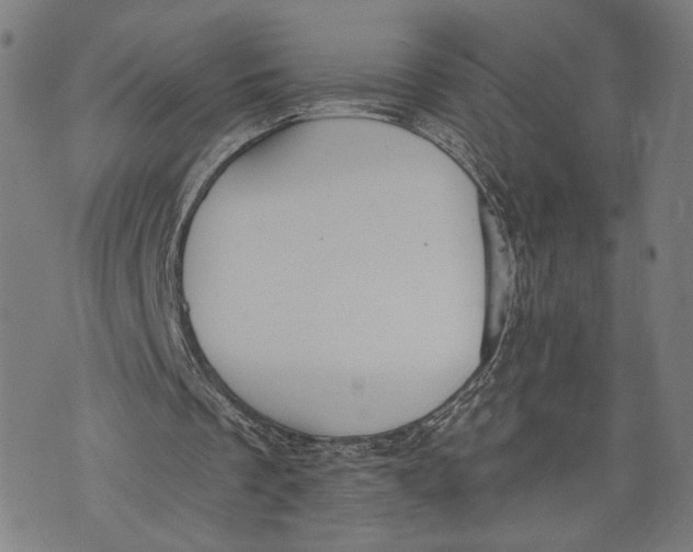 X0000071770289200607211539