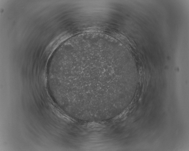 X0000071770290200607211539