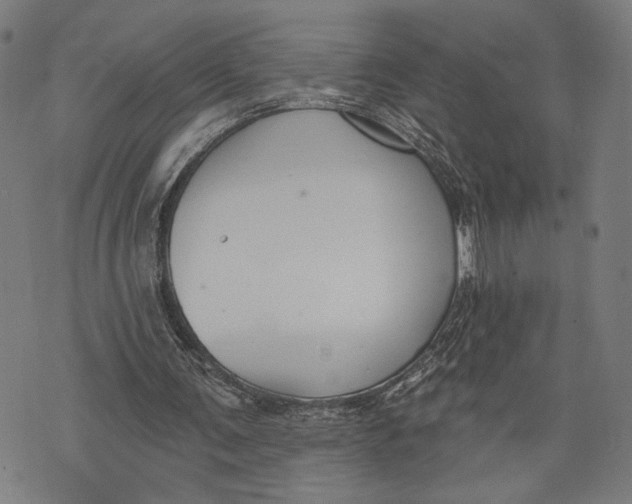 X0000071770291200607211539