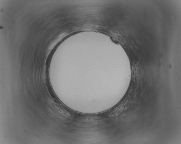 X0000071770292200607211539