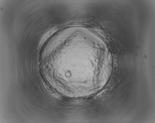 X0000071770293200607211539