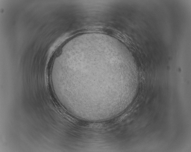 X0000071770294200607211539