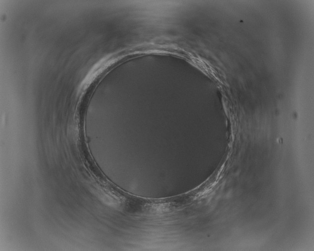 X0000071770295200607211539