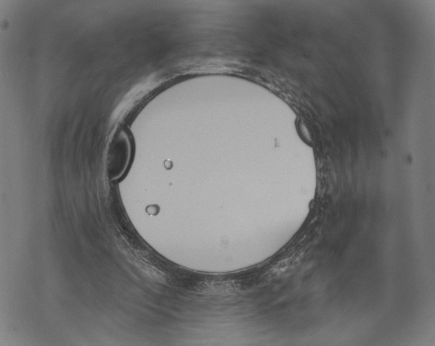 X0000071770296200607211539