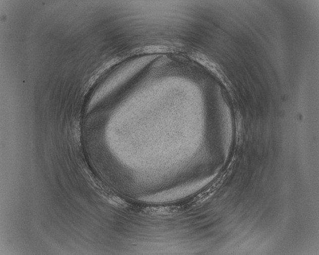 X0000071770297200607211539