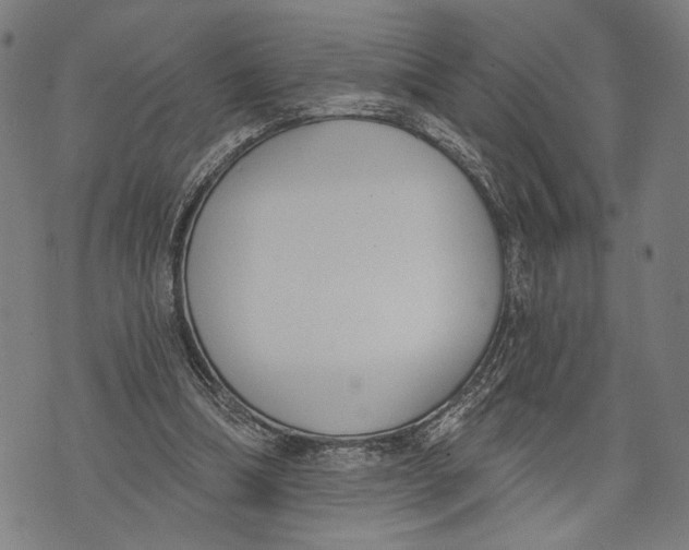 X0000071770298200607211539